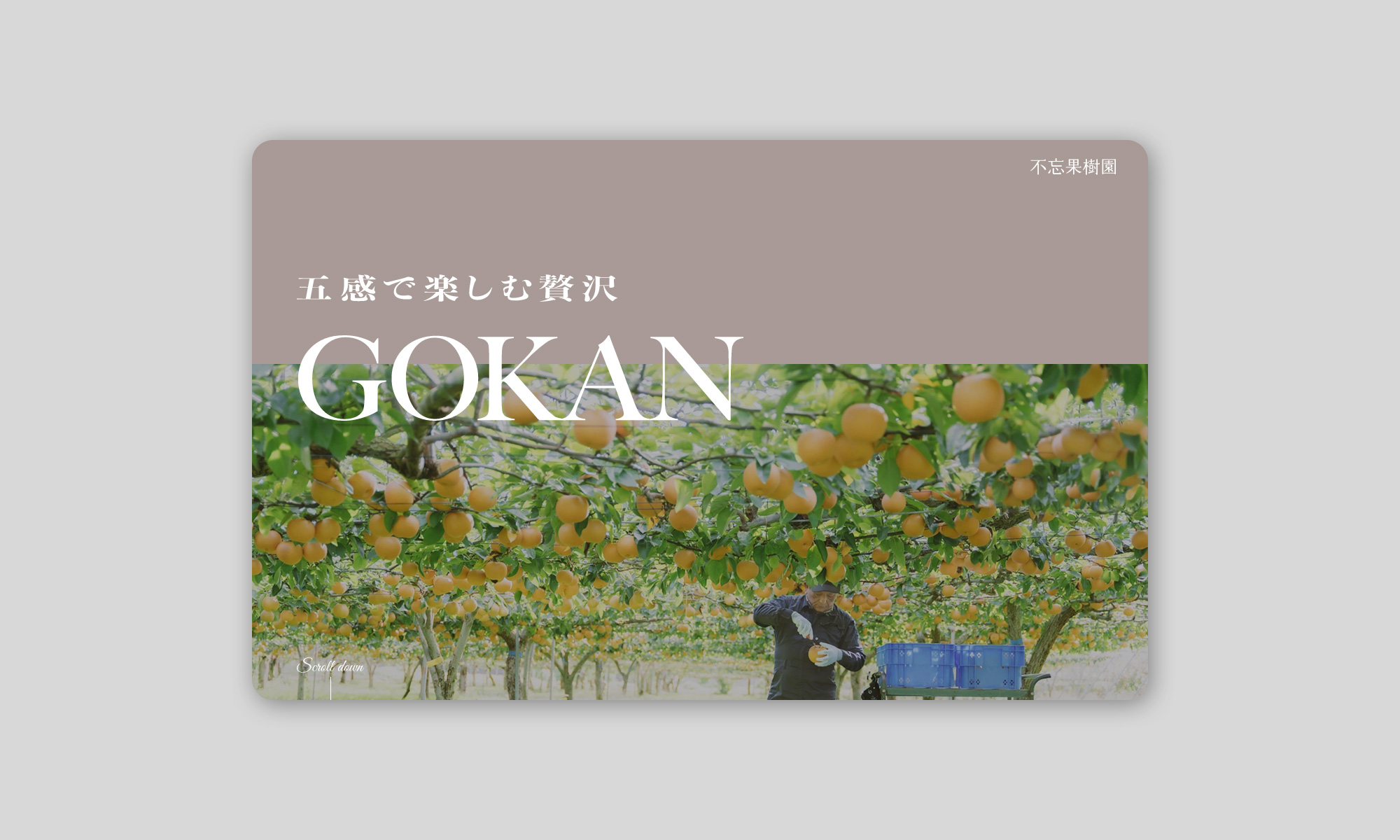 GOKAN ブランドサイト